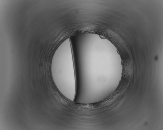X0000098030282200803280738