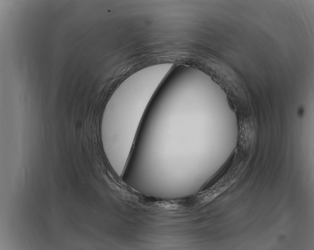 X0000098030284200803280738