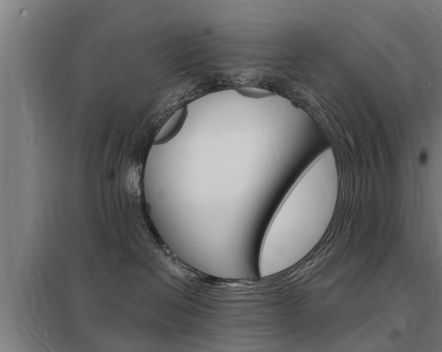 X0000098030286200803280738