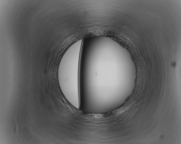 X0000098030288200803280738