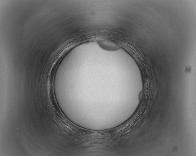 X0000098030290200803280737
