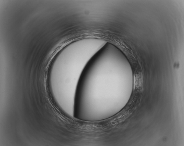 X0000098030291200803280737