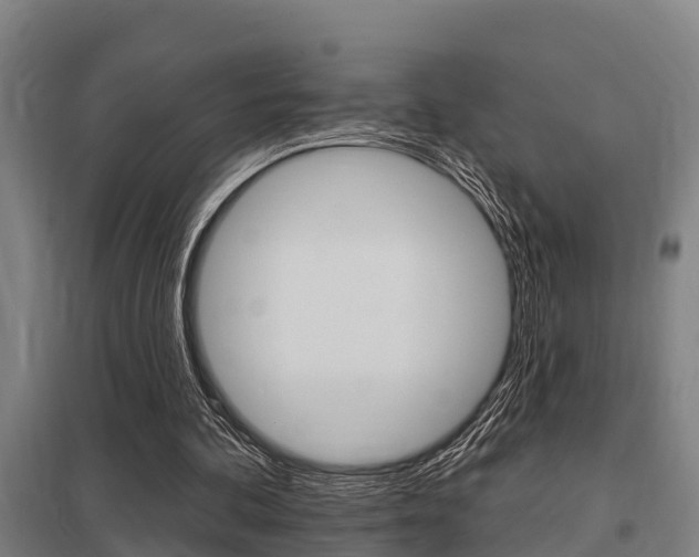 X0000098030292200803280737