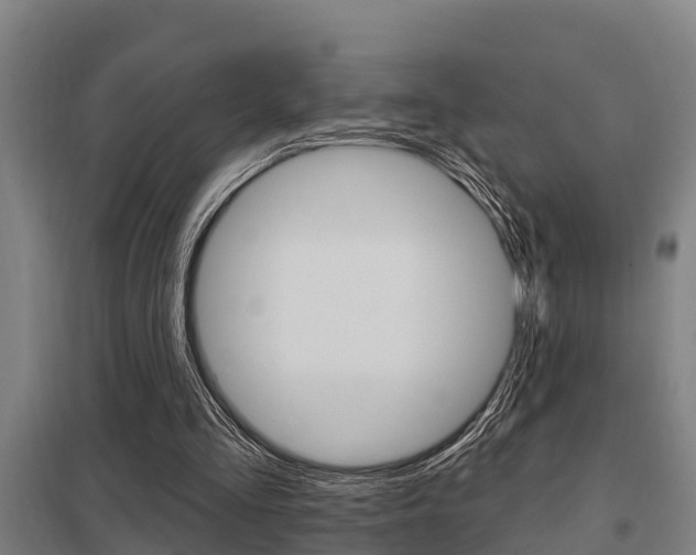 X0000098030293200803280737