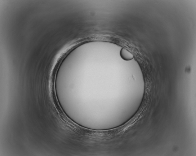 X0000098030294200803280737