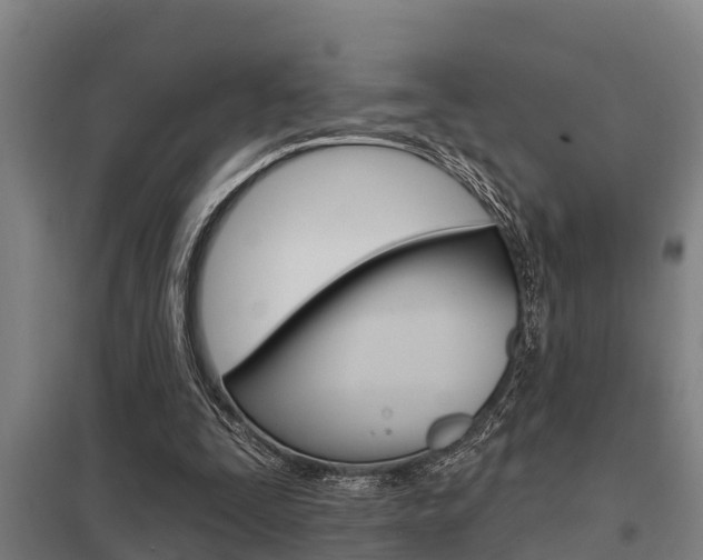 X0000098030295200803280737