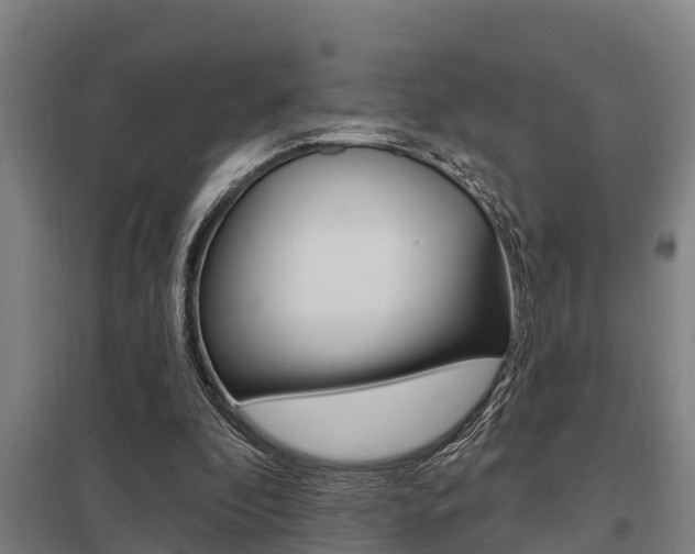 X0000098030296200803280737