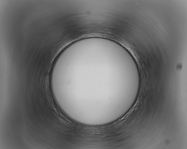X0000098030297200803280737