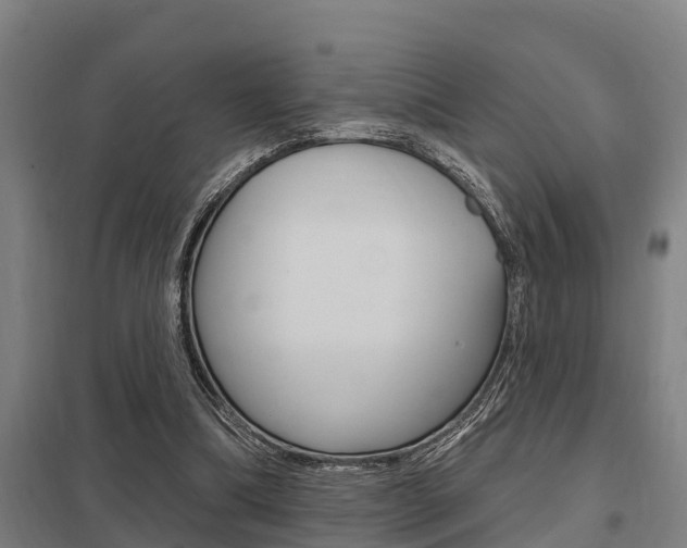 X0000098030298200803280737