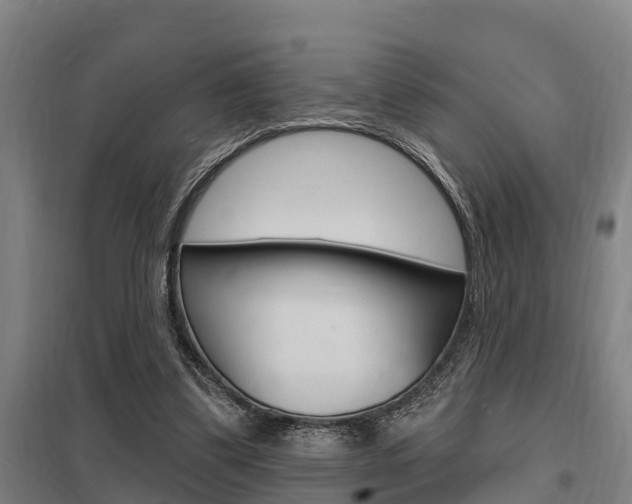 X0000098030299200803280737