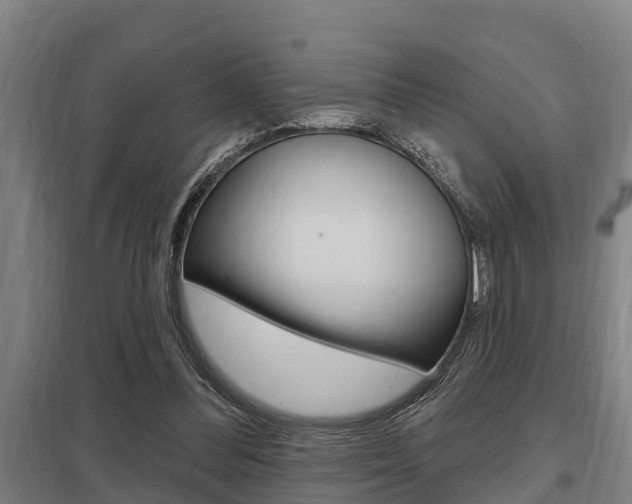 X0000098030300200803280737