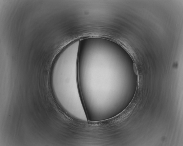X0000098030301200803280737