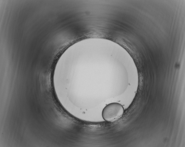 X0000098030302200803280737