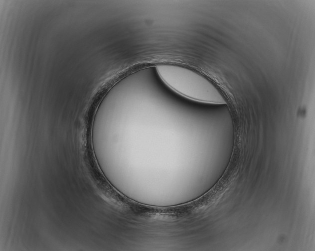 X0000098030303200803280737