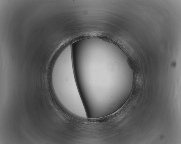 X0000098030304200803280737