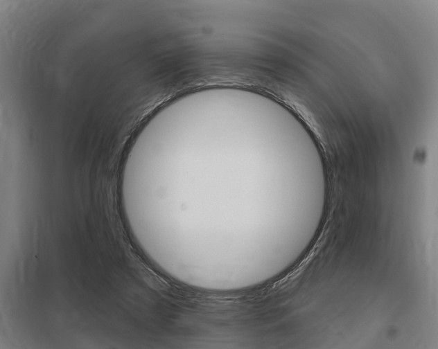 X0000098030305200803280737