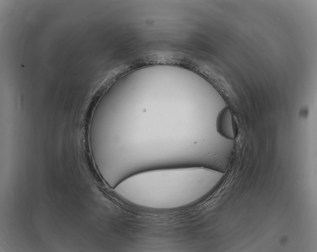 X0000098030306200803280737