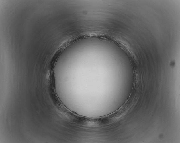 X0000098030308200803280737