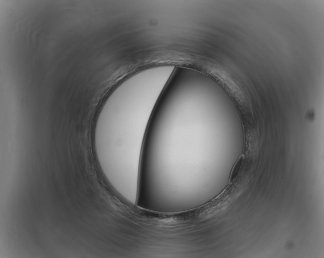 X0000098030309200803280737