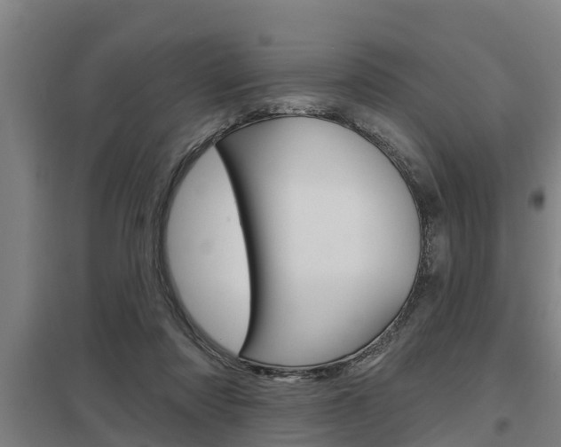 X0000098030310200803280737