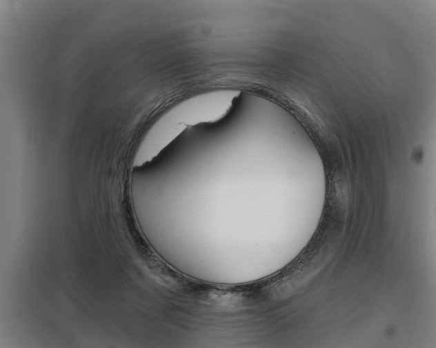 X0000098030311200803280737