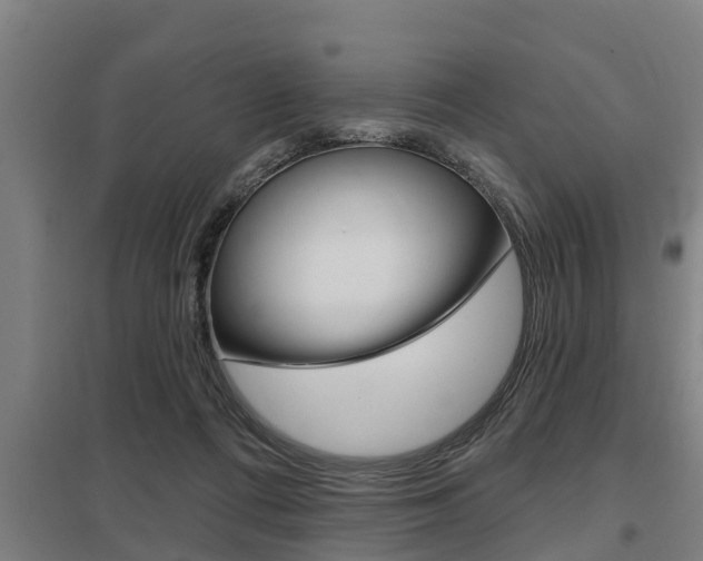 X0000098030312200803280737