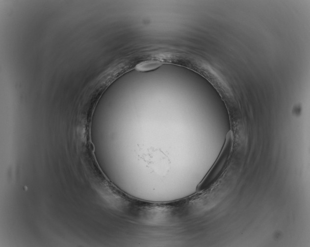 X0000098030313200803280737