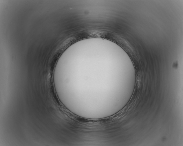 X0000098030314200803280737