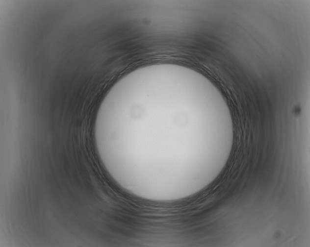 X0000098030316200803280737