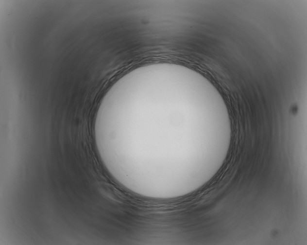 X0000098030320200803280737
