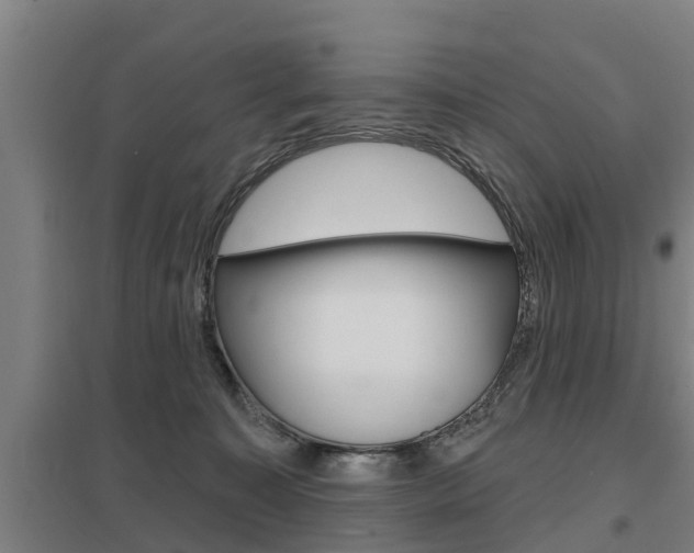 X0000098030323200803280737