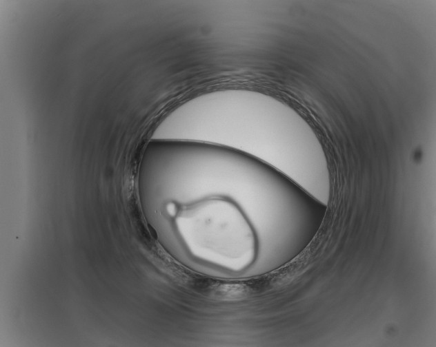 X0000098030324200803280737