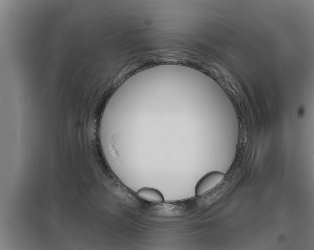 X0000098030326200803280737