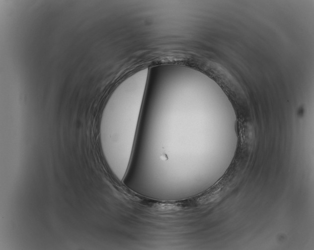 X0000098030327200803280737