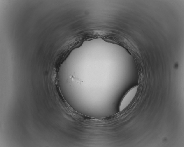 X0000098030328200803280737