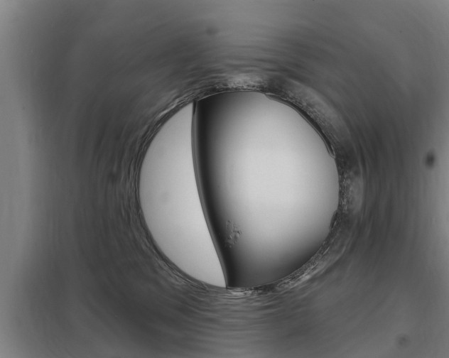 X0000098030329200803280737