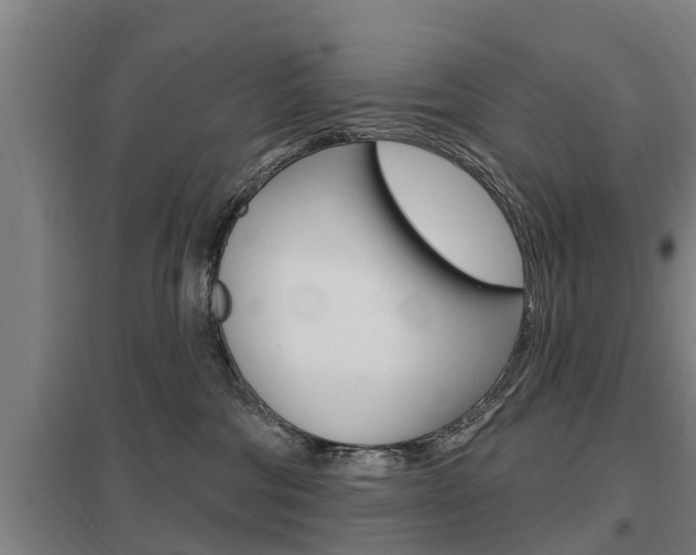 X0000098030330200803280737