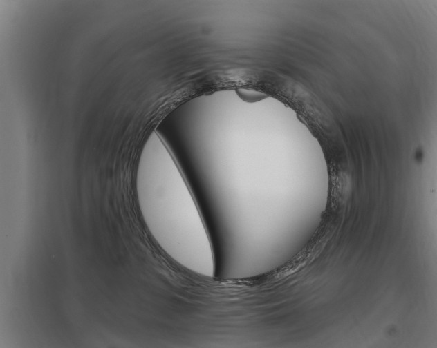 X0000098030331200803280737
