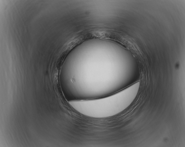 X0000098030332200803280737