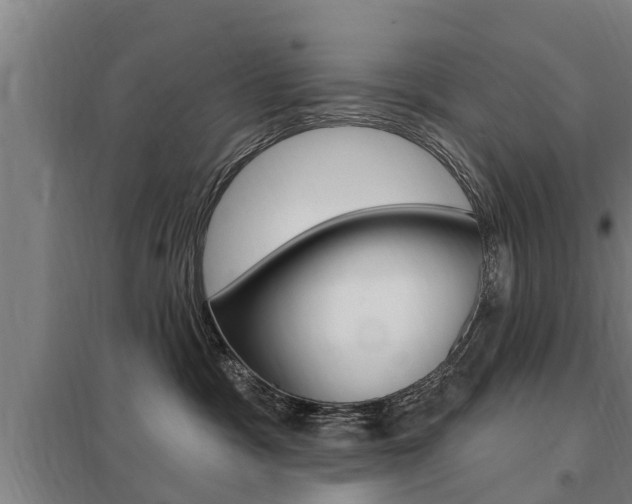 X0000098030333200803280737