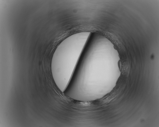 X0000098030335200803280737