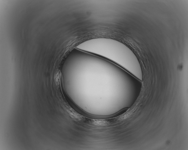 X0000098030336200803280737