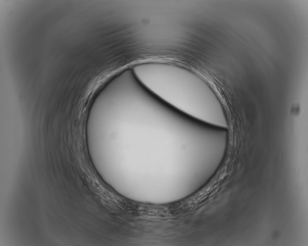 X0000098030337200803280736