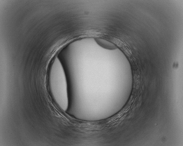 X0000098030338200803280736