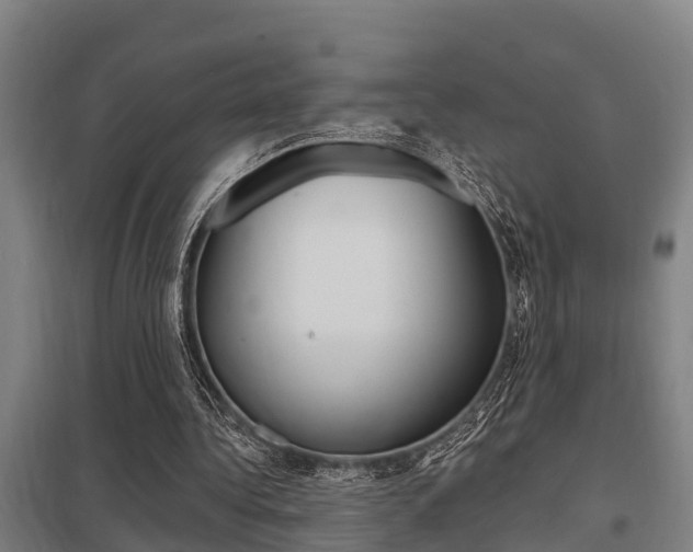 X0000098030340200803280736