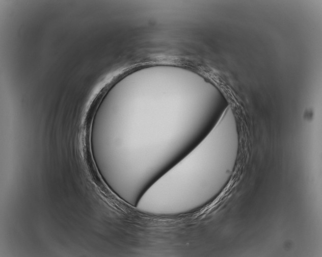X0000098030342200803280736