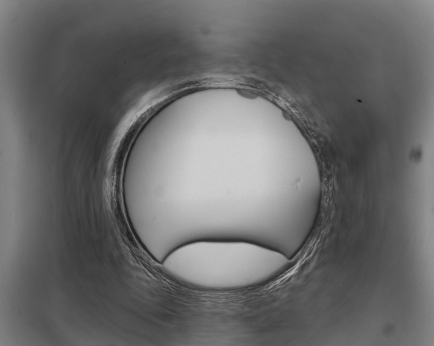 X0000098030343200803280736