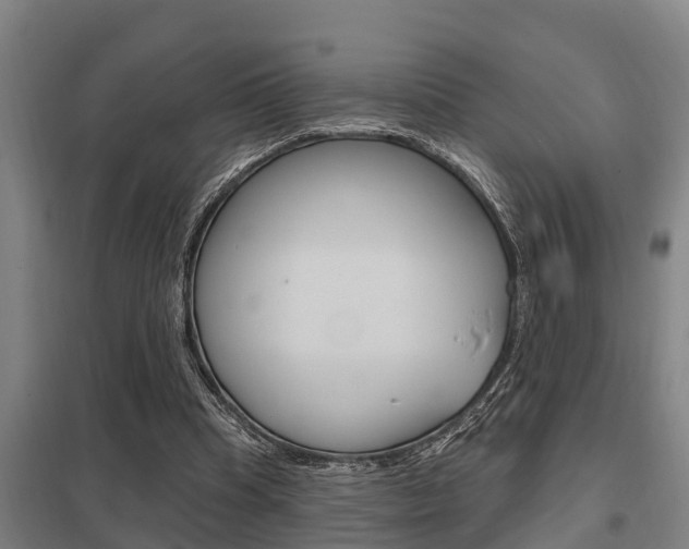 X0000098030345200803280736