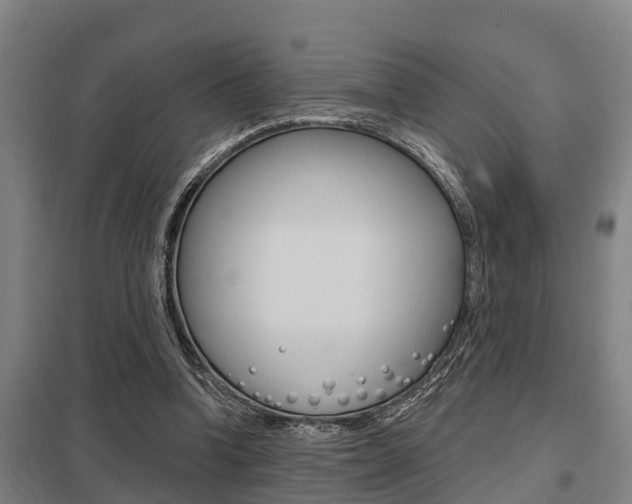 X0000098030346200803280736