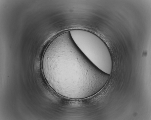 X0000098030347200803280736